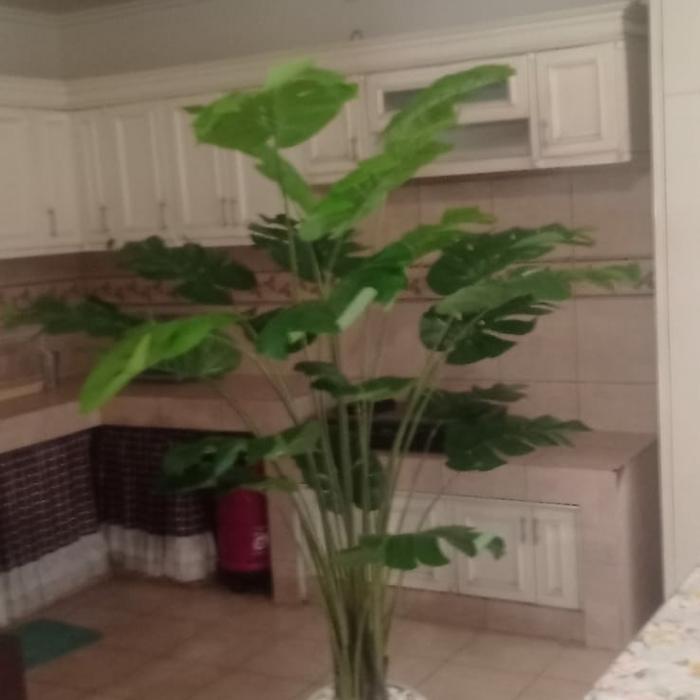 pohon monstera jumbo/bunga artificial/bunga plastik/bunga hias/Pohon PisangPlastik/Pohon Palem Plast