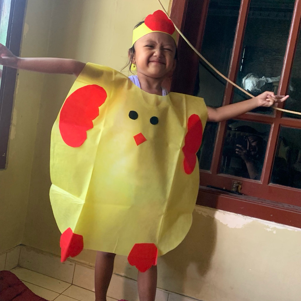 PROMO 1 SET  KOSTUM  Bebek Ayam Harimau Macan Singa Lucu Baju Pentas Karnaval Animals Cloth Teater D