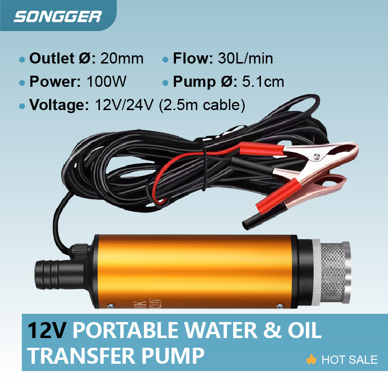 Portable Water and Oil Transfer Pump 12V 24V Self-Priming Aluminum for esel Alcohol Water Agricultur