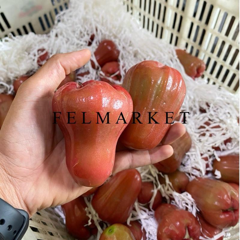 Buah Jambu Air Citra Fresh Manis / Jambu Air Merah / 1 Kg