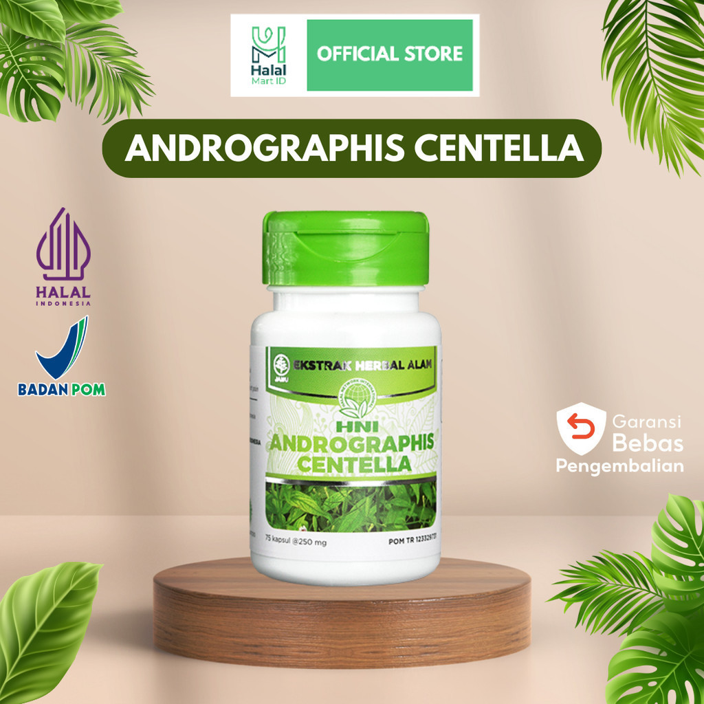 Andrographis Centela HNI HPAI - Herbal Radang Paru , Liver/Hati , Sakit Demam