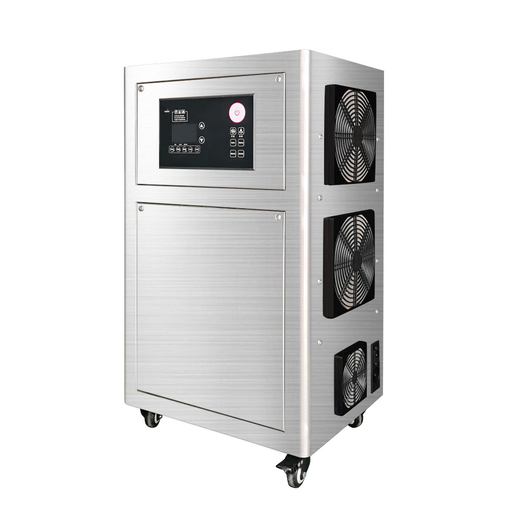 Flygoo 220V 30g 40g 50g Ozone Generator Commercial Ozone Machine With US UK Plug