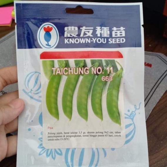 benih kacang polong pipih taichung kys