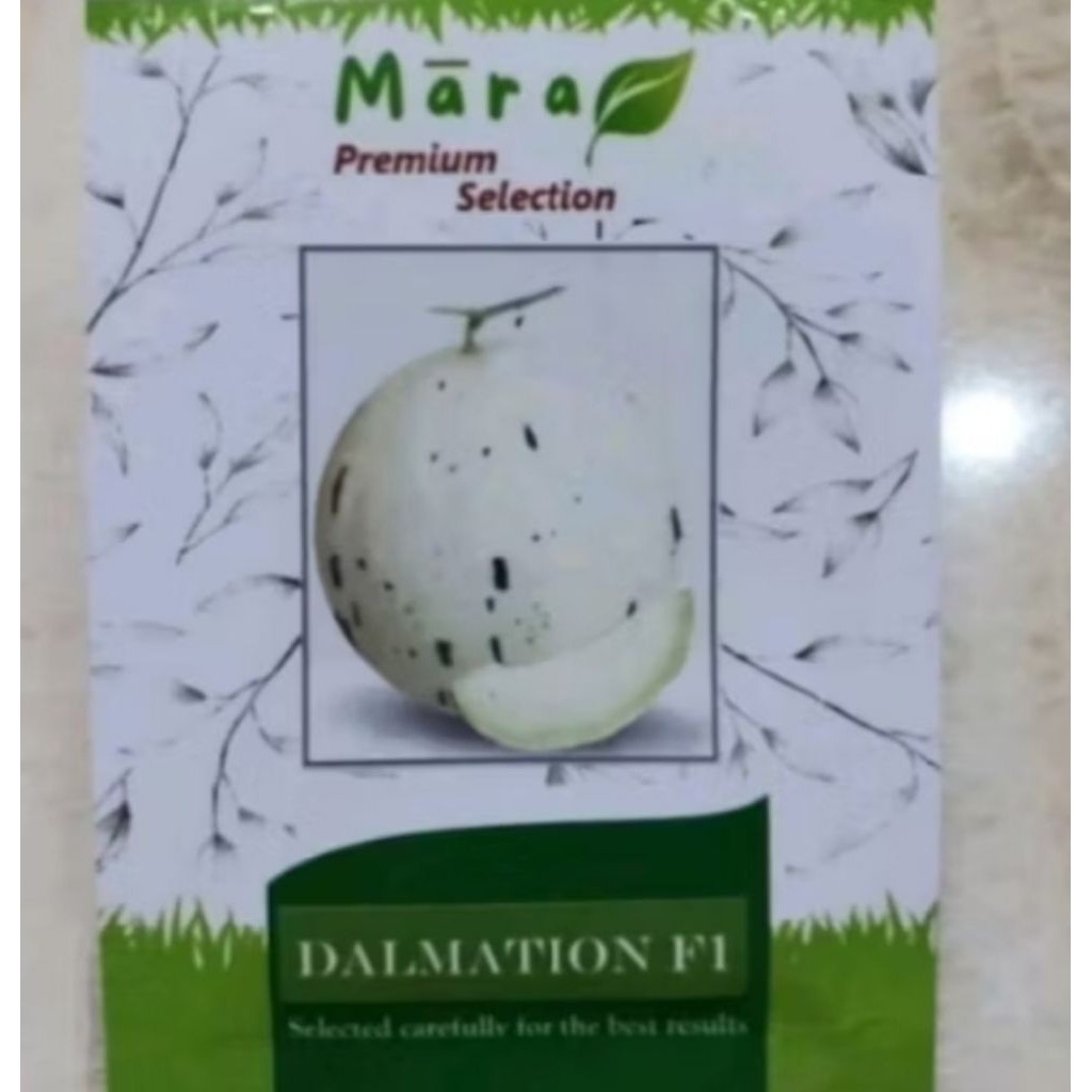 50 Bijih Benih Melon Dalmation F1 Original
