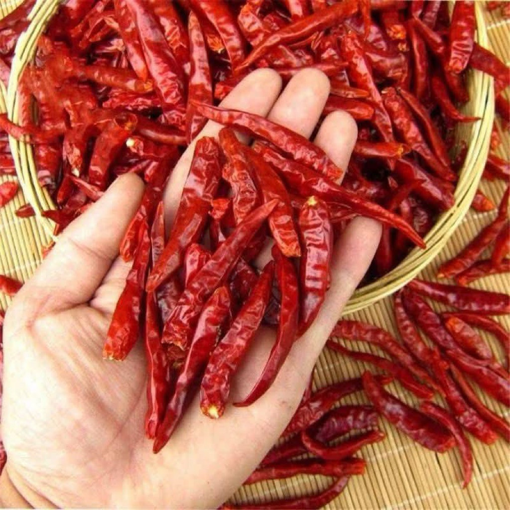 cabe kering India