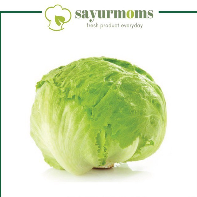 Lettuce Iceberg Segar 500 Gram - 1 Kg Surabaya Tengah