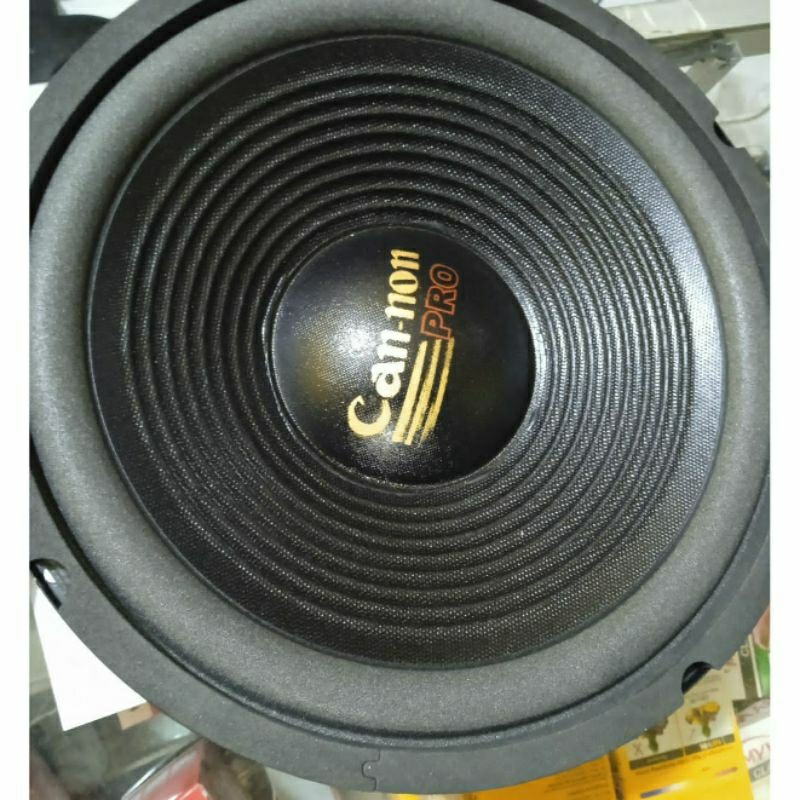 Speker 10 In Canon Wofer Bass Mobil Rumahan
