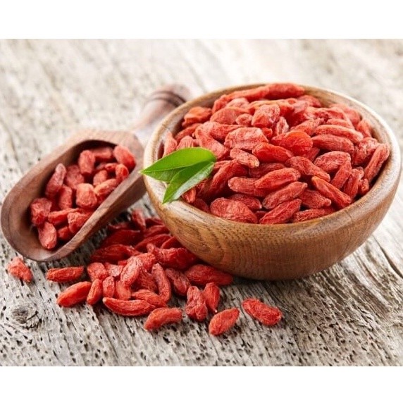 15 Bibit Buah Goji Berry Manis