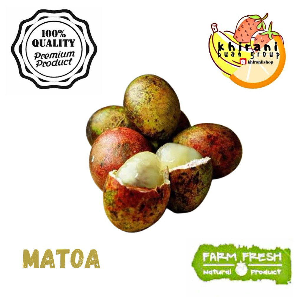 Buah Matoa Segar 1kg Untuk Kesehatan Tubuh