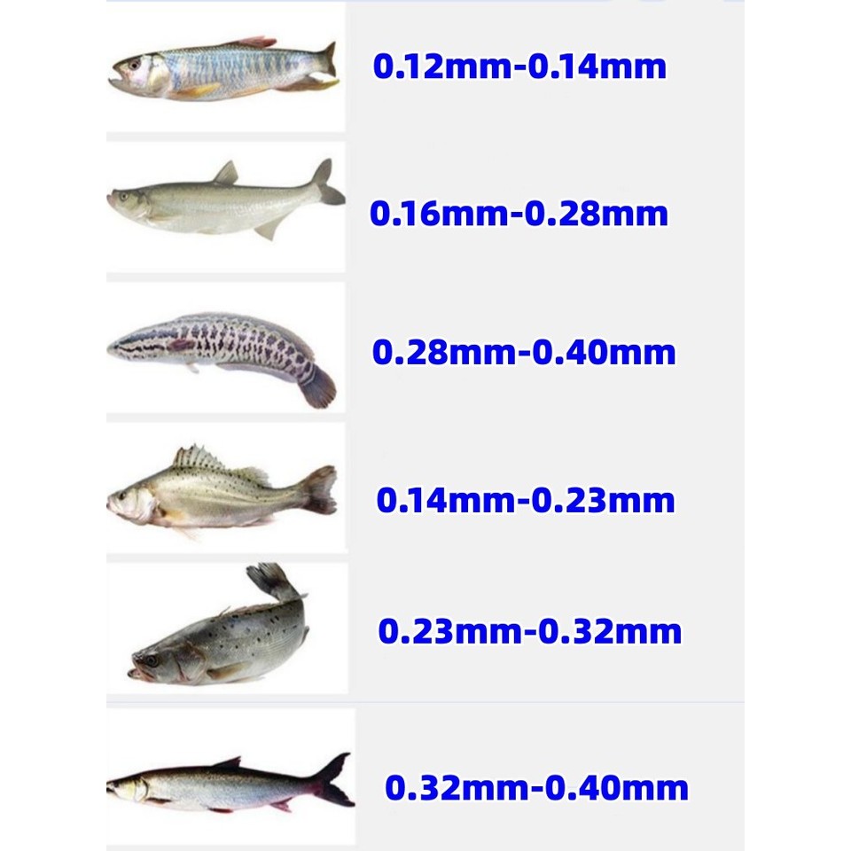 500m Invisible  Super Strong Carp Fishing Line  Monofilament Fishing Line Speckle Spoted Fishing Lin