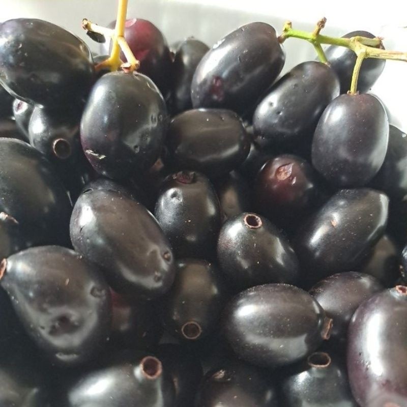 buah Jamblang atau buah duwet