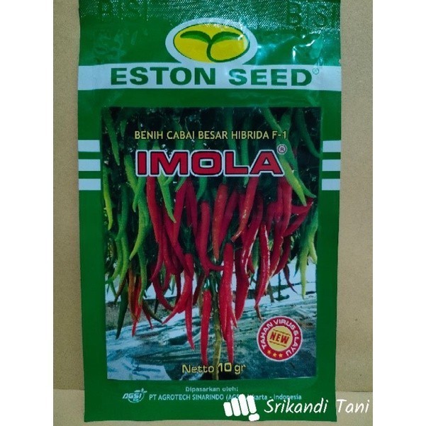 Bibit Cabe Merah Besar Imola New F1 10gr Asli Pabrik Tahan Geminivirus