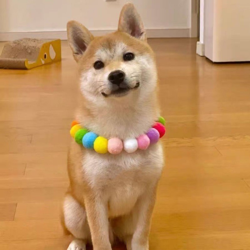 Tail Planet COD  Kalung kucing, pom-pom warna-warni, kalung anjing, syal, dan kalung, aksesori hewan