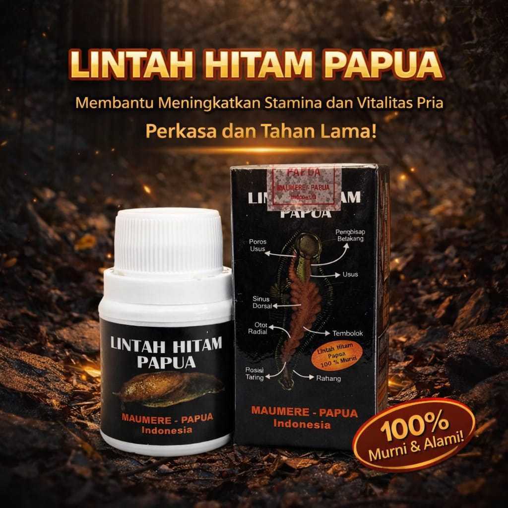 wn ~ NEW Minyak Lintah Hitam Papua Asli 100% Original Minyak Herbal Minyak Lintah Papua Tradisional 