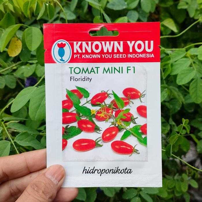KYS - Benih Tomat Cherry FLORIDITY - benih tomat mini known you seed