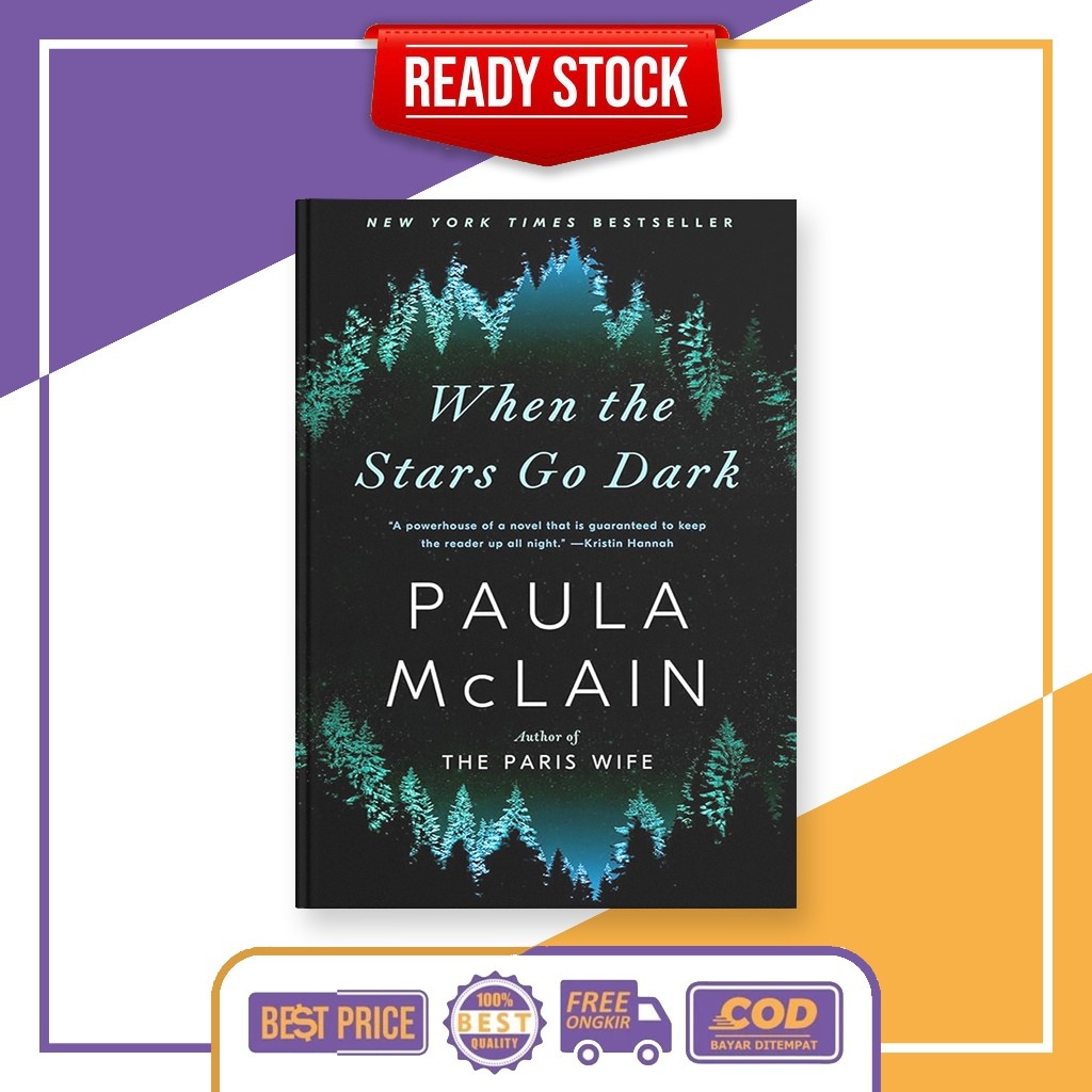 (English) When the Stars Go Dark by Paula McLain