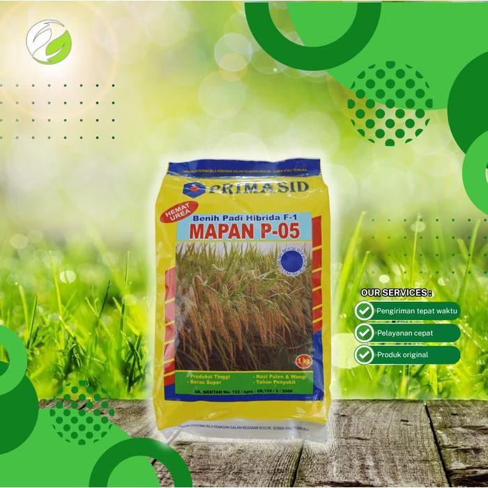 Padi Hibrida Mapan 05 Original-Dijamin dari PT. Primasid