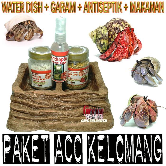 PAKET PERLENGKAPAN PERAWATAN KELOMANG UMANG KEONG DARAT PANTAI MURAH - PAKET