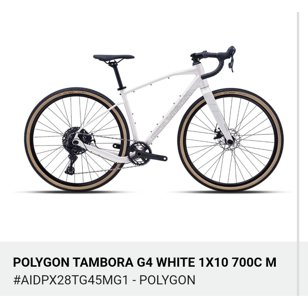 Bike Polygon Tambora G4