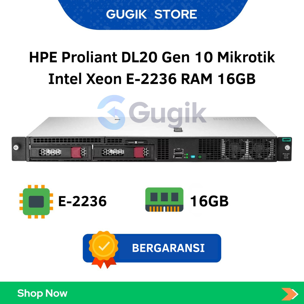 HPE Proliant DL20 Gen 10 Mikrotik Intel Xeon E-2236 RAM 16GB