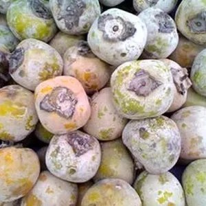 buah kesemek 1kg PROMO HEMAT