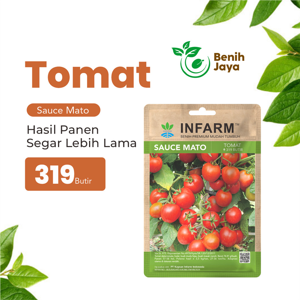 BENIH JAYA - Bibit Tomat Sauce Mato Benih Tomat Biji Tomat Cocok Untuk Saus Tomat Hijau Merah Benih 