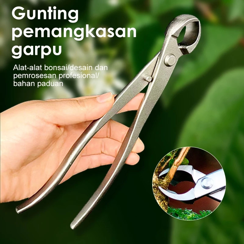 Gunting Catok Bonsai Cembung 21cm untuk Pemotong Cabang Pohon Berkebun Tanaman Hias