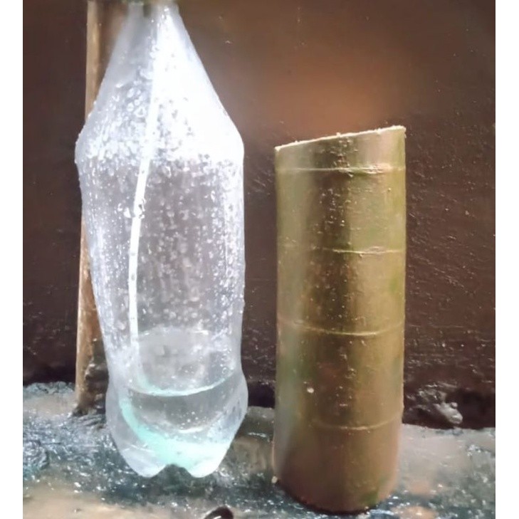 promo Bahan bonsai loa || stek batang jumbo Raja Bonggol