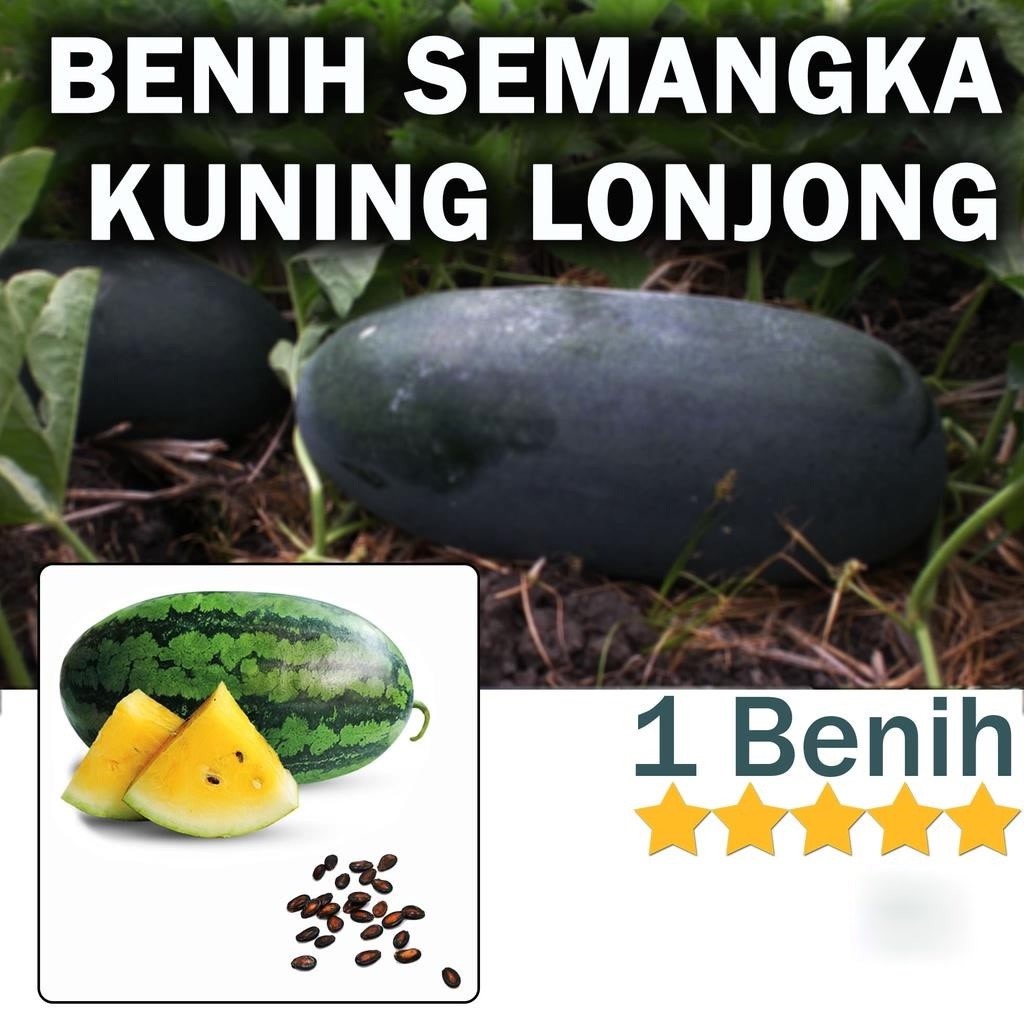 1 Biji  Benih Bibit Semangka Kuning Lonjong