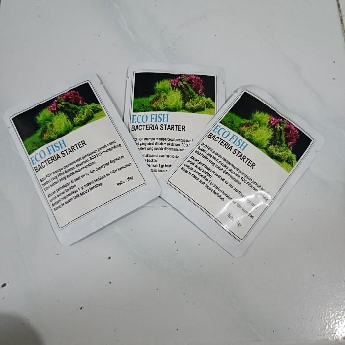 Eco fish Bacteria starter Bakteri Starter