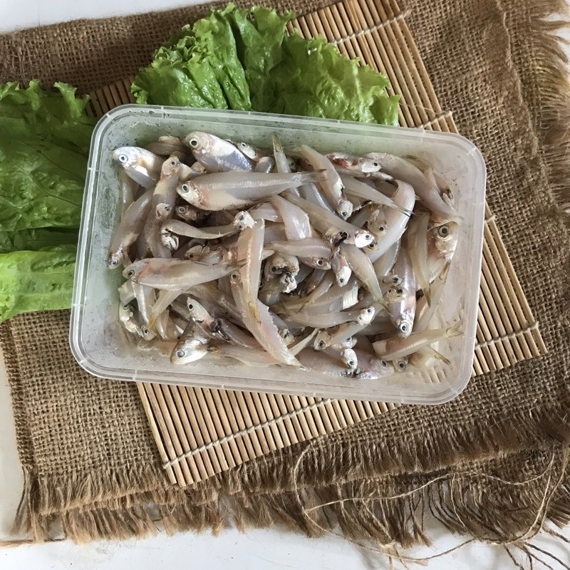 Ikan Wader Laut - Berat 1kg