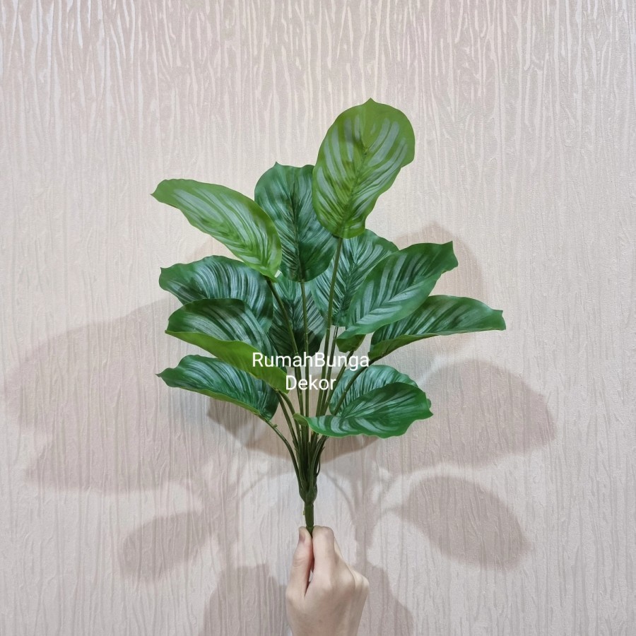 PROMODaun Calathea Artificial Group Latex 12 LembarTERLARIS