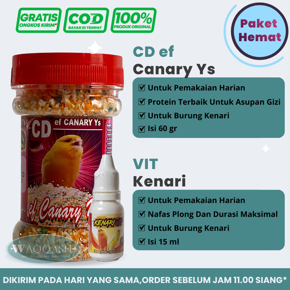 Paket Kenari Roll CD Canary dan Kenari Vit Sehat dan Gacor 100% Original