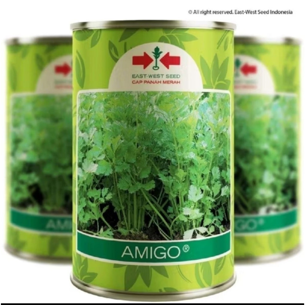 Benih seledri AMIGO® Kaleng 50 grm
