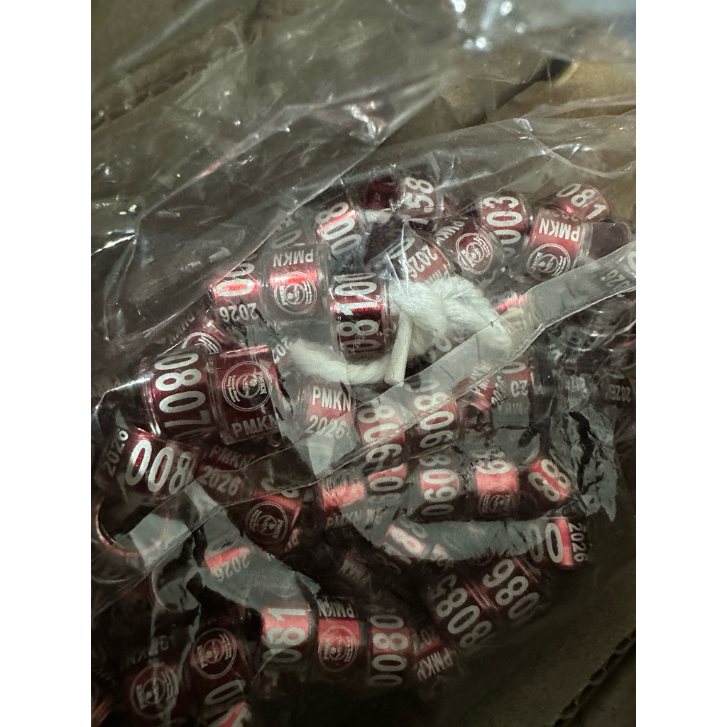 KAYDEN STORE Ring PMKN 2026 Isi 5Pcs