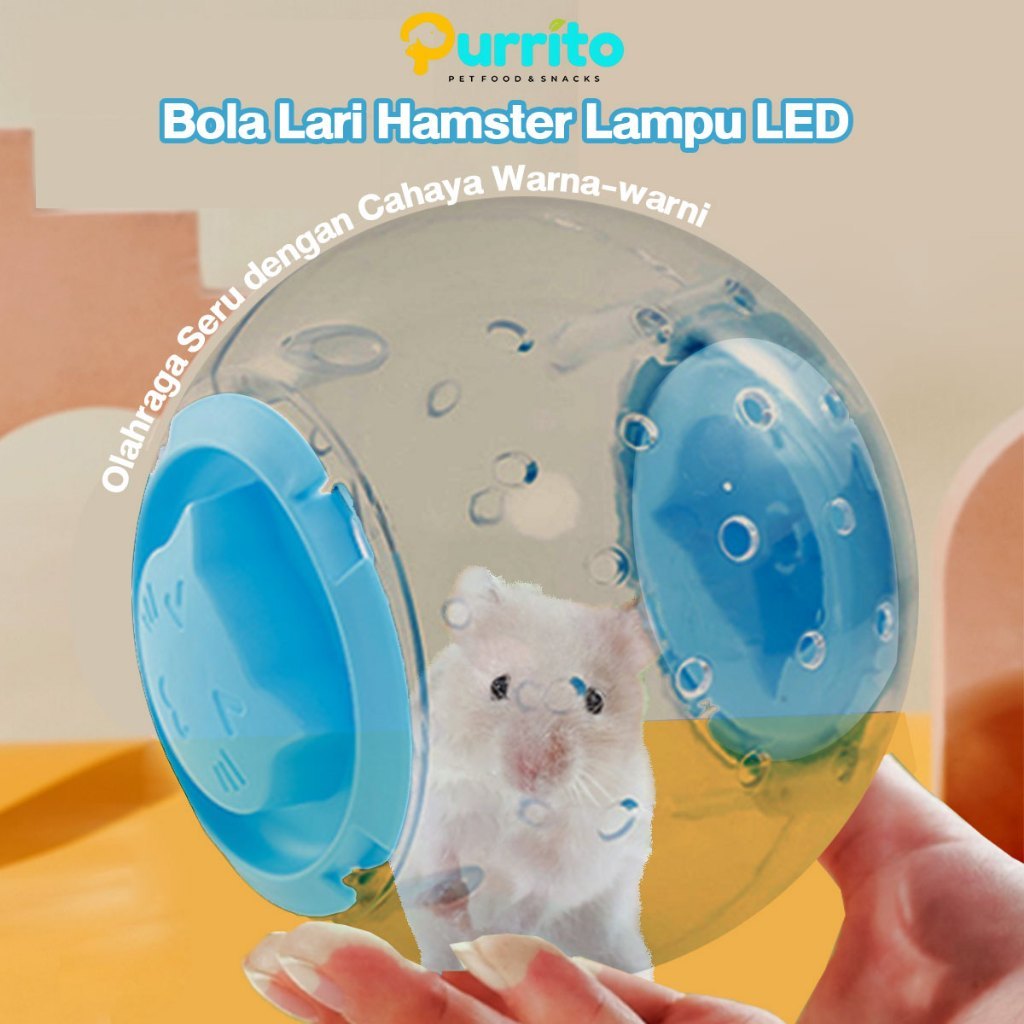KAYDEN STORE Purrito Bola Lari Hamster XL Tebal Transparan Mainan Hamster Landak Sugar Glider