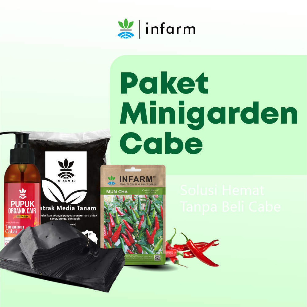 INFARM - Paket Tanam Cabai Minigarden Siap Berkebun POC Cabai Media Tanam Polybag Benih Cabai