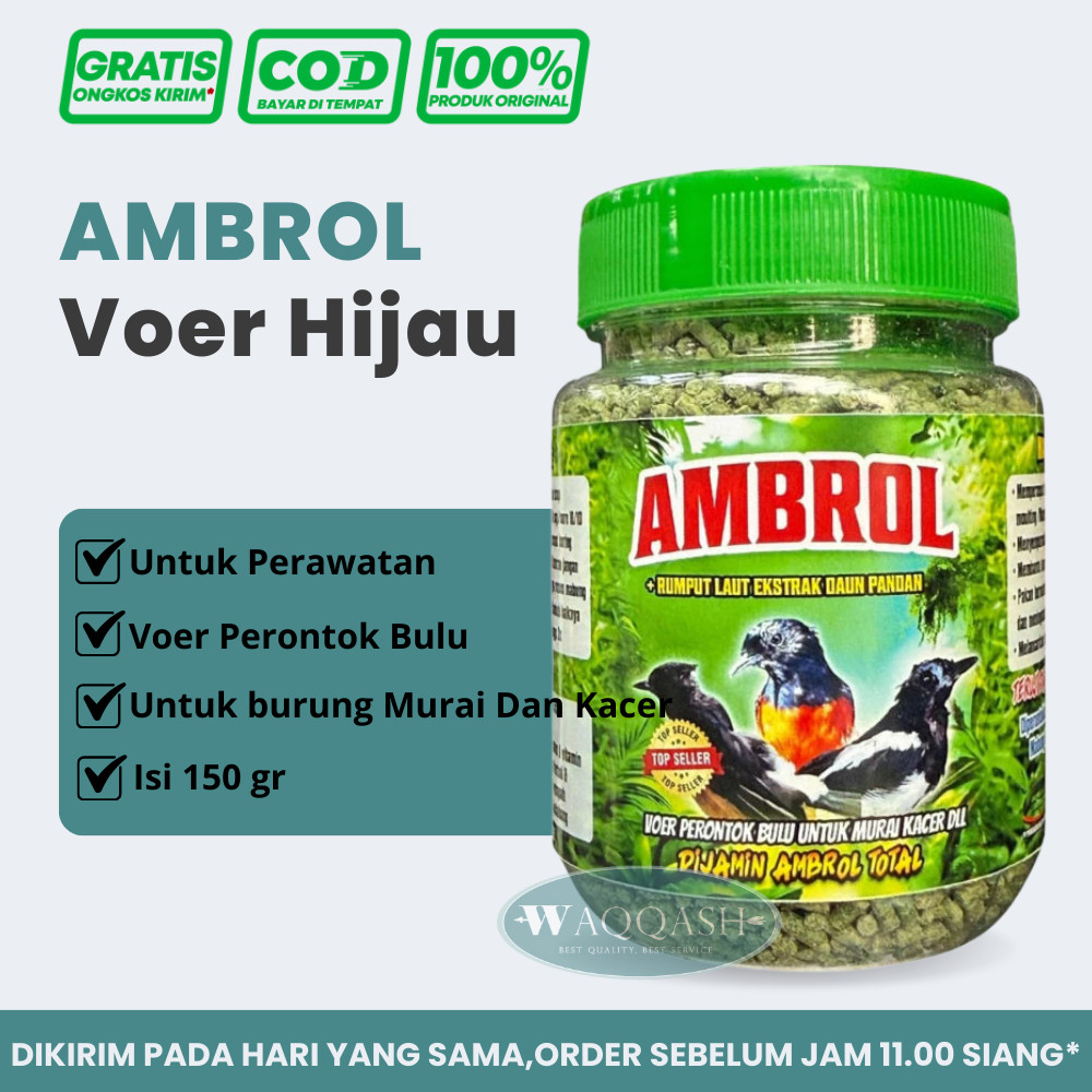 Ambrol Voer Perontok Bulu Burung Terjamin Ambrol Total Untuk Burung Murai Kacer Vitamin Gacor