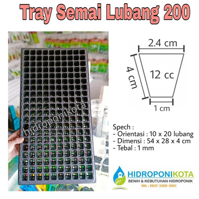 TRAY SEMAI dan ALAS SEMAI 1 dus isi 100 pc - tray lubang 200