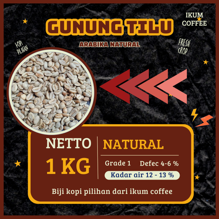 green Bean / biji kopi Arabika Gunung tilu Jawa barat - Natural 1kg
