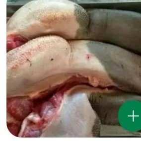 lidah sapi 1 utuh PROMO