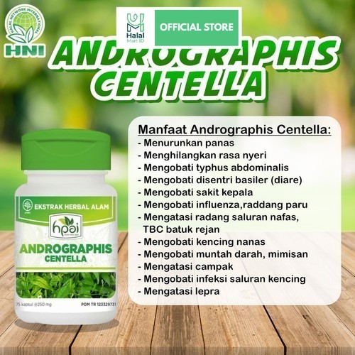 Andrographis Centella HNI HPAI - Herbal Sakit Liver - Tipes