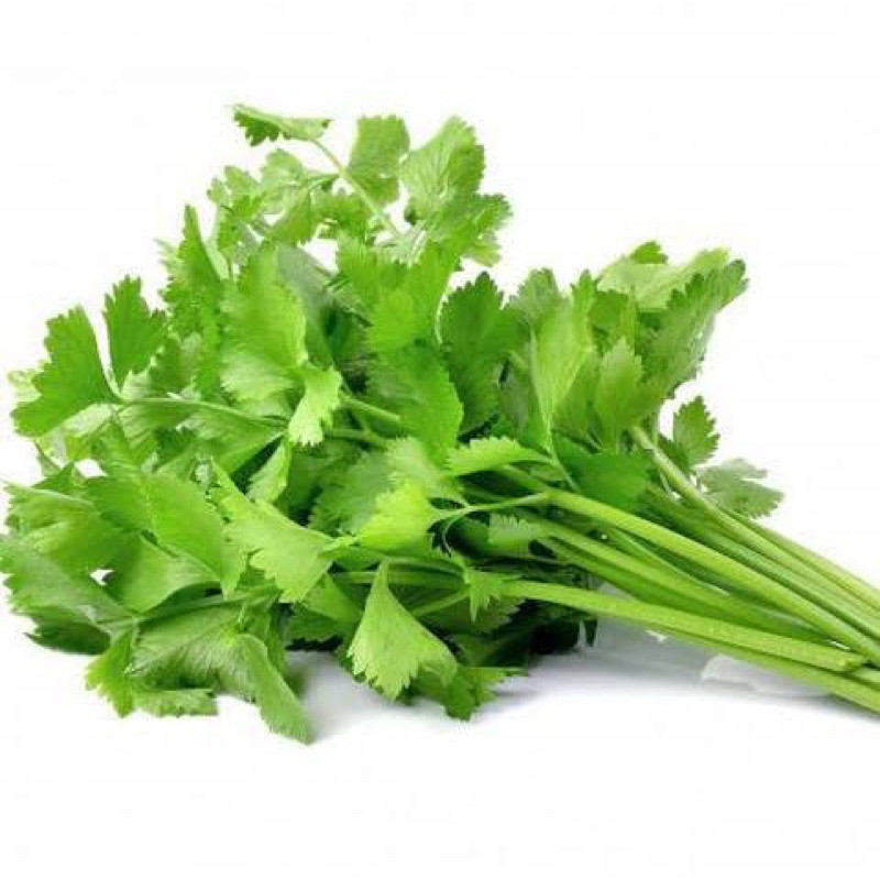 50 Biji - Seledri ,seledri aroma kuat
