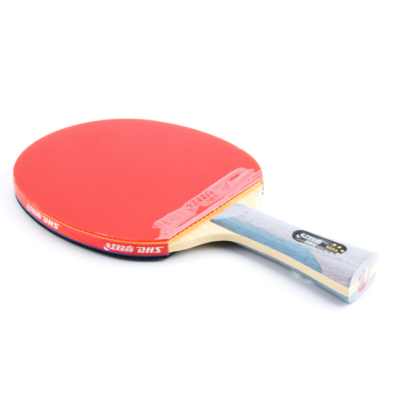 DHS 6 Star 6002 6006 Table Tennis Racket With Hurricane 8 Tin Arc Rubber FL Handle Shake Hold Ping P