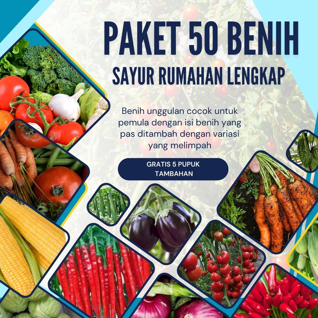 Paket Komplit Benih Sayuran 50 Jenis untuk Hobi, Konsumsi Pribadi, dan Usaha 50 Jenis Benih Sayuran 
