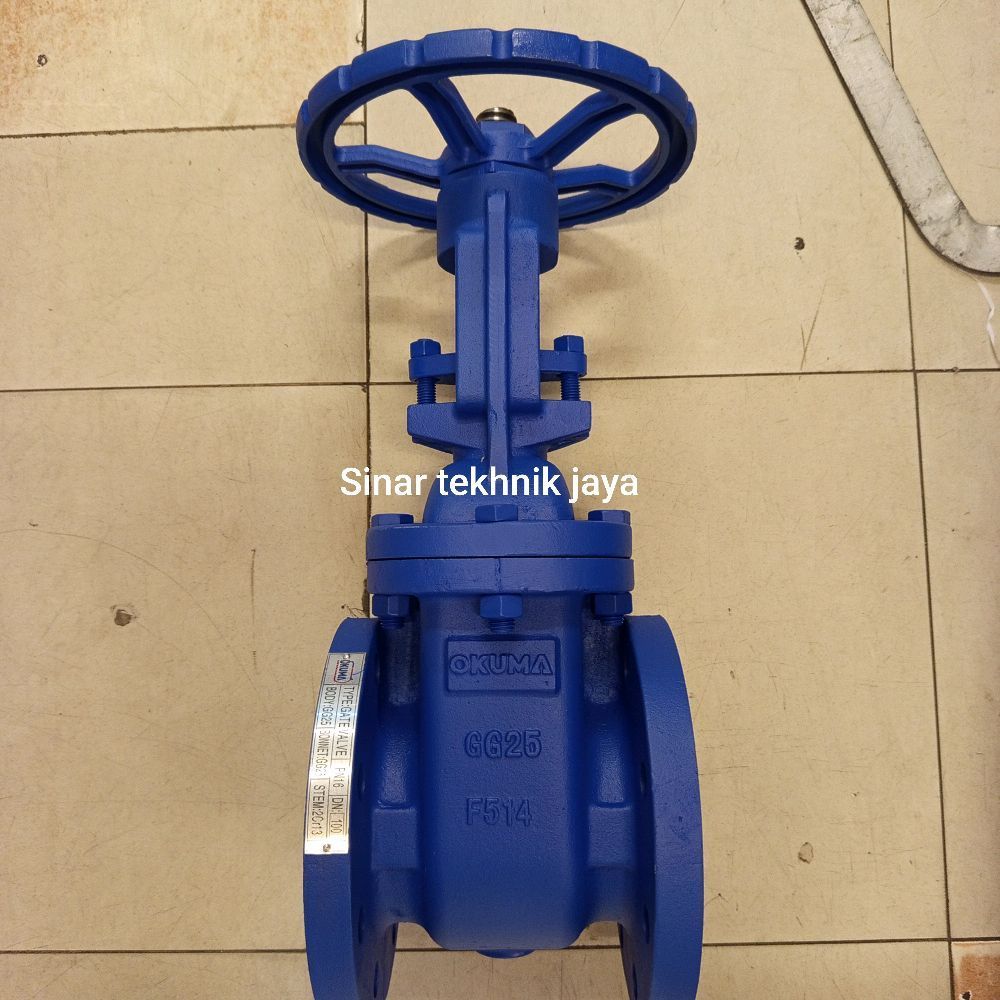 gate valve 8" (DN 200) PN-16 OKUMA cast iron rising stem