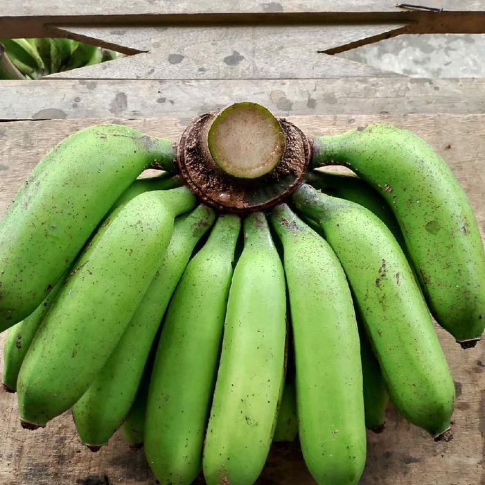 Pisang Uli 1kg - Buah Segar dan Lezat untuk Camilan Sehat - 1kg