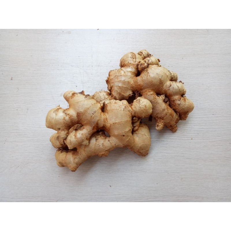 1KG Jahe gajah fresh | Jahe gajah 1kg | Jahe gajah segar 1kg