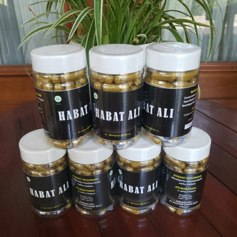 Jamu Kapsul Habat Ali 80 Kapsul Original