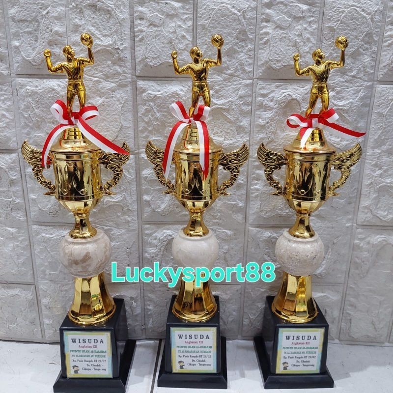 trophy Piala win + onix volley voli 1 set
